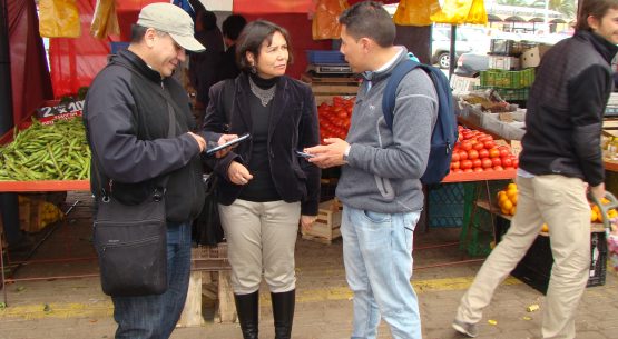 Odepa: Precios al consumidor en línea tanto de Santiago como de regiones