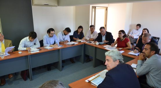 Liderado por la directora de Odepa, Claudia Carbonell, se reunió el Grupo de Trabajo sobre Sustentabilidad, en el marco del Consejo Exportador Agroalimentario.