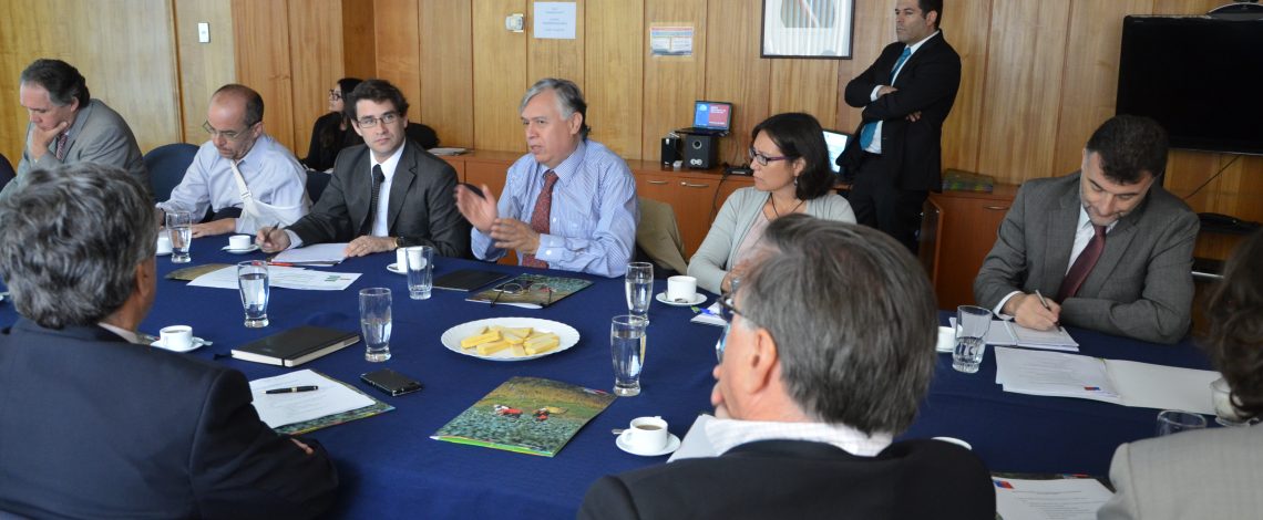 Claudia Carbonell, directora de Odepa,  participó en la II sesión del Consejo Exportador Agroalimentario, liderada por el ministro de Agricultura, Carlos Furche y con presencia de representantes de los sectores público y privado