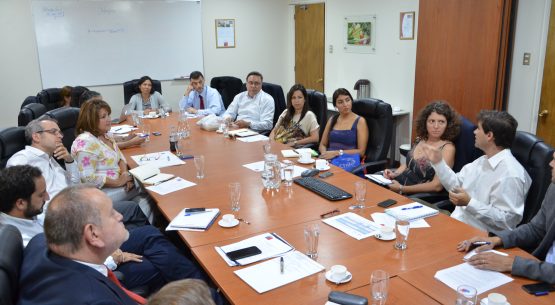 Claudia Carbonell, directora de Odepa, participó en la reunión del Grupo de Trabajo sobre Promoción e Imagen del Sector Silvoagropecuario, coordinada por ProChile