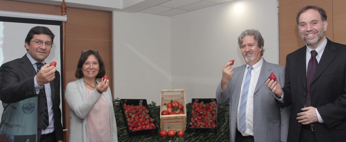 Claudia Carbonell, directora de Odepa, en representación del ministro de Agricultura, Carlos Furche, dio un discurso de bienvenida en la ceremonia de cierre del “Proyecto Terminal para la Eliminación del Bromuro de Metilo”