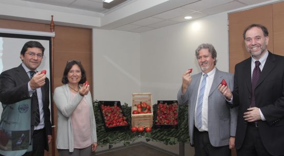 Claudia Carbonell, directora de Odepa, en representación del ministro de Agricultura, Carlos Furche, dio un discurso de bienvenida en la ceremonia de cierre del “Proyecto Terminal para la Eliminación del Bromuro de Metilo”