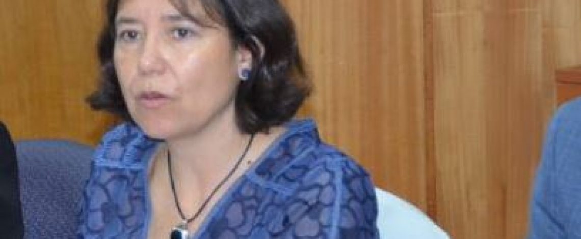 Claudia Carbonell, directora de Odepa, señaló la forma en que agricultoras y agricultores pueden conocer todas las herramientas que el Estado dispone para ellos