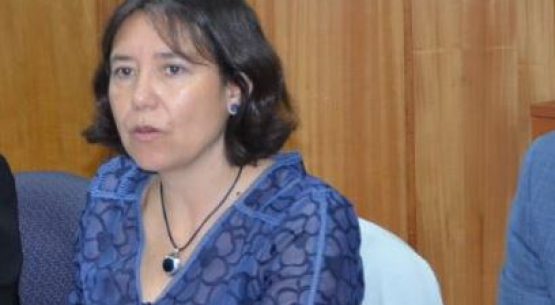 Claudia Carbonell, directora de Odepa, señaló la forma en que agricultoras y agricultores pueden conocer todas las herramientas que el Estado dispone para ellos