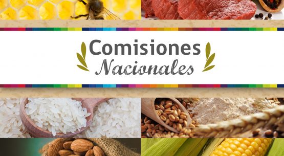 Claudia Carbonell, directora de Odepa, informó que debido a la importancia de las comisiones por rubro, se activó en el menú del sitio web institucional una sección con información actualizada