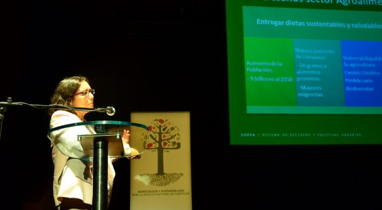 Claudia Carbonell, directora de Odepa, expuso hoy en el seminario internacional “Agroecología y Sustentabilidad para la Agricultura Familiar Campesina”, organizado por Odepa e Indap. Este evento fue inaugurado por el ministro de Agricultura, Carlos Furche.