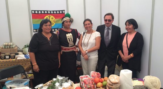 Claudia Carbonell, directora de Odepa, representó hoy  al Ministerio de Agricultura en la inauguración de la versión número 34 de la ExpoLoncoche