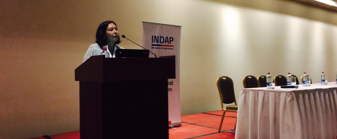 Claudia Carbonell, directora de Odepa, expuso sobre: “Visión ministerial sobre la sustentabilidad” en el marco del seminario: “Agroecología y Sustentabilidad para la Agricultura Familiar Campesina”, organizado por Indap y Odepa en Temuco.