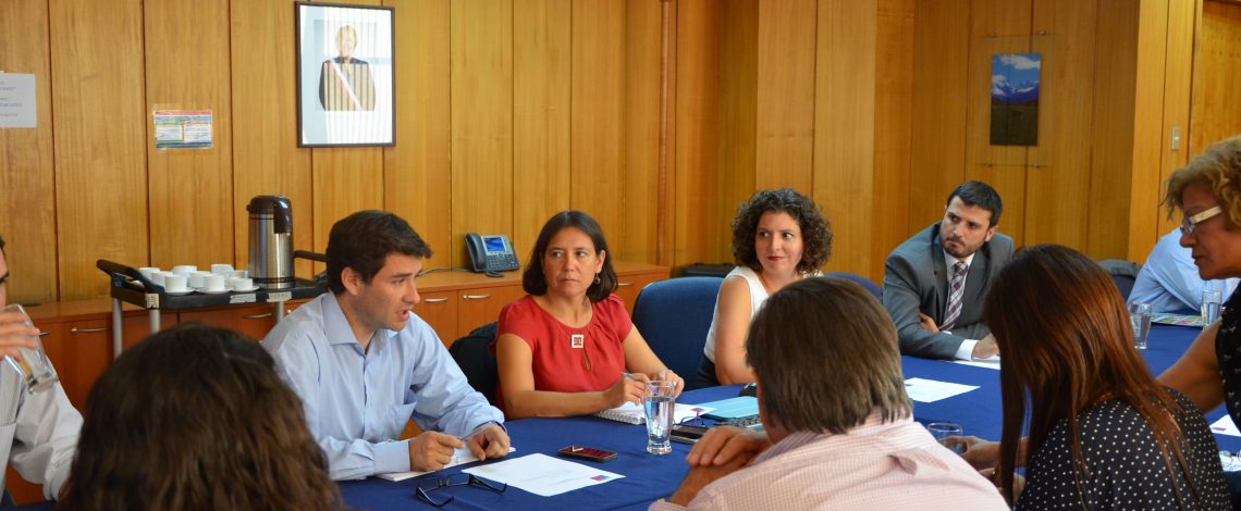 Claudia Carbonell, directora de Odepa, participó en la reunión del Grupo de trabajo de imagen alimentaria de Chile, en el contexto del Consejo Exportador Agroalimentario