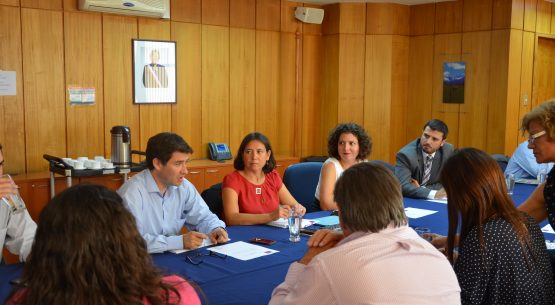 Claudia Carbonell, directora de Odepa, participó en la reunión del Grupo de trabajo de imagen alimentaria de Chile, en el contexto del Consejo Exportador Agroalimentario