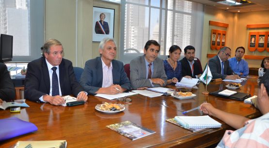 La directora de Odepa, Claudia Carbonell, participó en la primera sesión preparatoria del Consejo de Política Forestal (CPF)