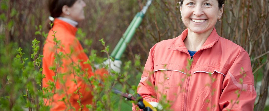 Directora de Odepa, Claudia Carbonell, se refirió a las cifras relacionadas con agricultura y mujer