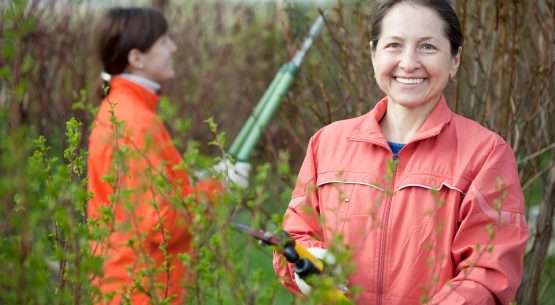 Directora de Odepa, Claudia Carbonell, se refirió a las cifras relacionadas con agricultura y mujer