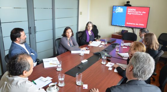 Odepa sostuvo una reunión sobre cuentas ambientales