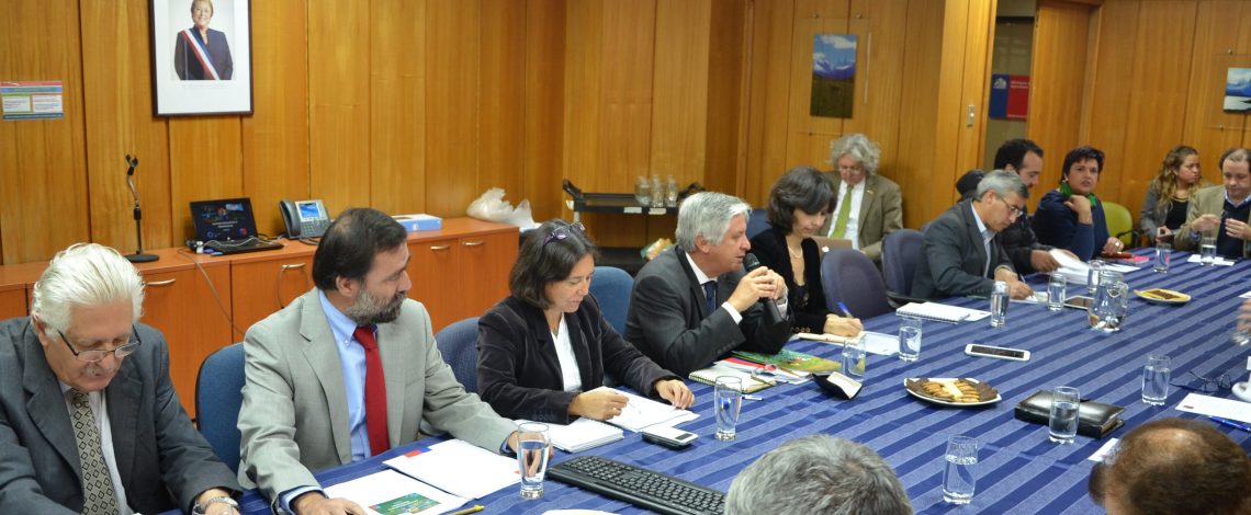 Liderada por el subsecretario de Agricultura, Claudio Ternicier, hoy se reunió la Comisión Nacional Vitivinícola. Esta instancia fue coordinada por Claudia Carbonell, directora de Odepa.