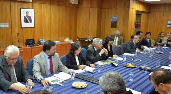 Liderada por el subsecretario de Agricultura, Claudio Ternicier, hoy se reunió la Comisión Nacional Vitivinícola. Esta instancia fue coordinada por Claudia Carbonell, directora de Odepa.