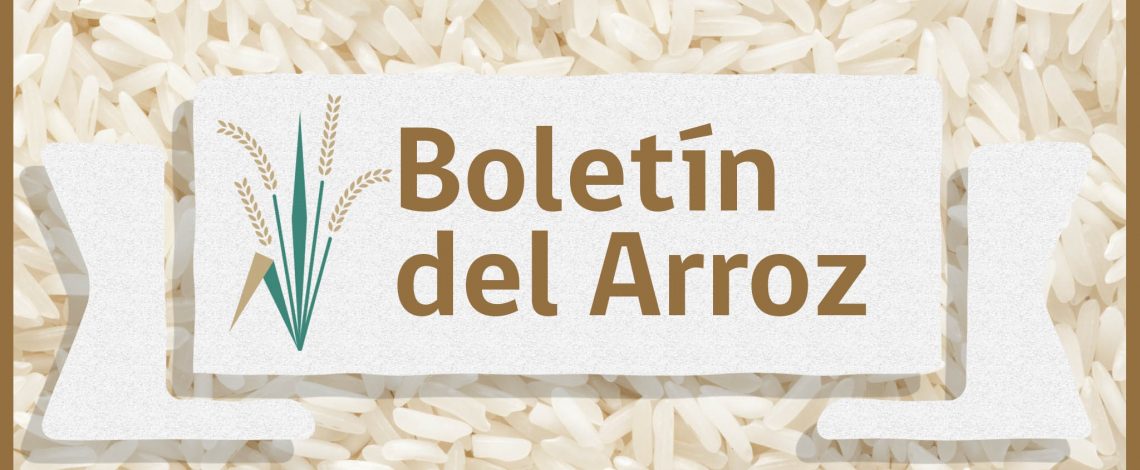 Boletin del arroz. Octubre de 2015