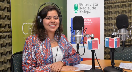 En la entrevista radial de Odepa Romina Aguirre habla sobre la primera reunión del Comité de Estadísticas Pecuarias