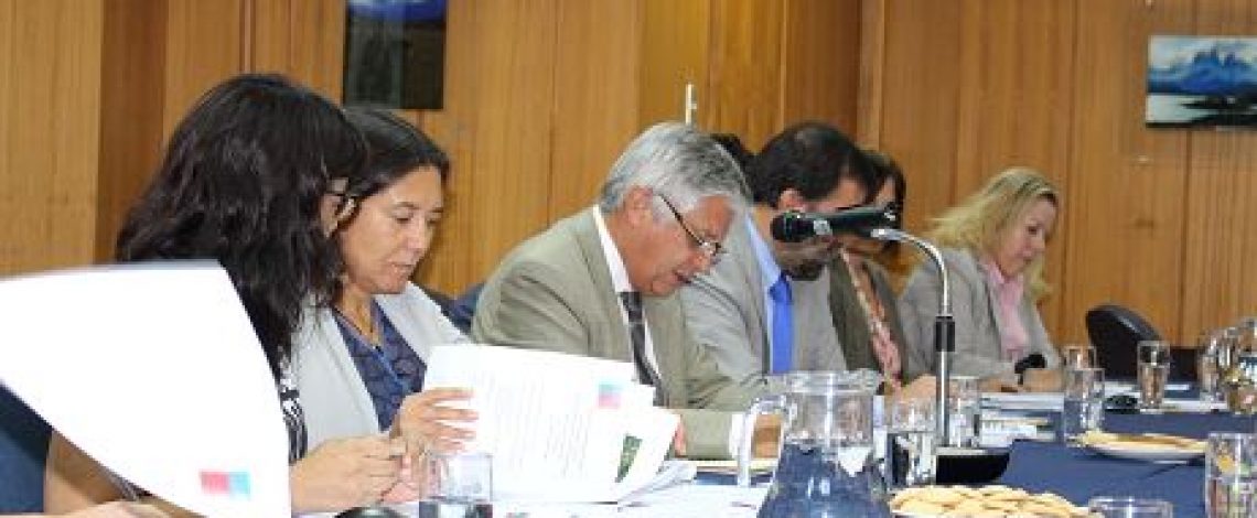 Claudia Carbonell, directora de Odepa, participa en la Comisión Nacional del Arroz