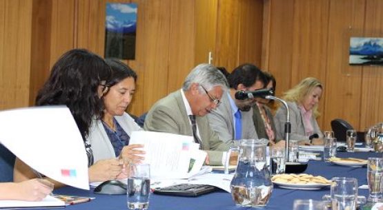 Claudia Carbonell, directora de Odepa, participa en la Comisión Nacional del Arroz