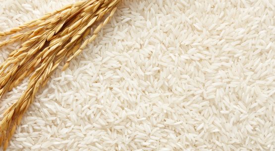 Nuevo: Boletín del arroz. Abril de 2015