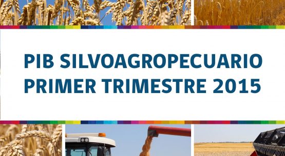 Actividad agropecuaria crece 8,5% y lidera  expansión del PIB en primer trimestre de 2015