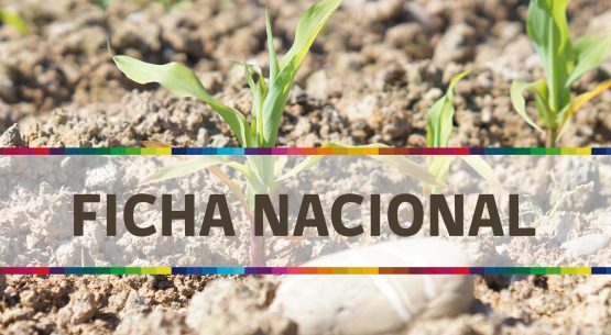 Odepa elaboró una ficha nacional que contiene una radiografía del sector a nivel del país