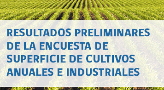 Se han publicado en el sitio de Odepa los resultados preliminares 2014/2015 de superficie de cultivos anuales e industriales