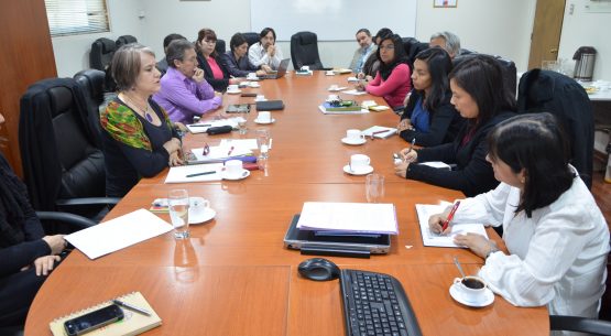 Servicios del Ministerio de Agricultura se reunieron con experta de la OMPI