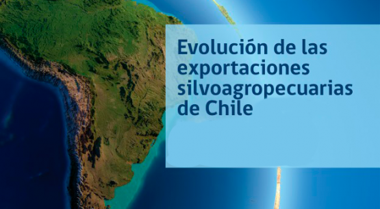 Evolución de las exportaciones silvoagropecuarias:  período 2005-2014 y primer semestre 2014/2015