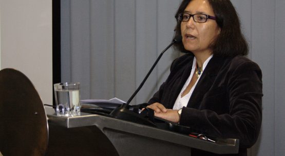 Instituto Nacional de Normalización (INN) y Chilean Walnut Commission lanzan nuevas normas de calidad para la nuez chilena. En representación del ministro de Agricultura, participó la directora de Odepa, Claudia Carbonell.