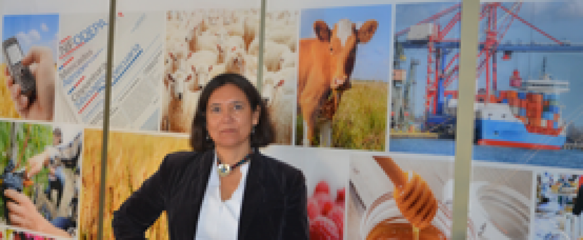 Las exportaciones de frutos secos crecieron 33% en el primer cuatrimestre, comparado con igual período del año anterior