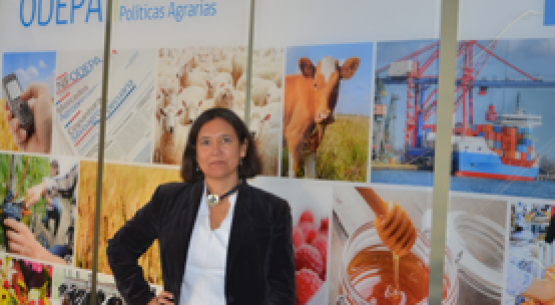 Las exportaciones de frutos secos crecieron 33% en el primer cuatrimestre, comparado con igual período del año anterior