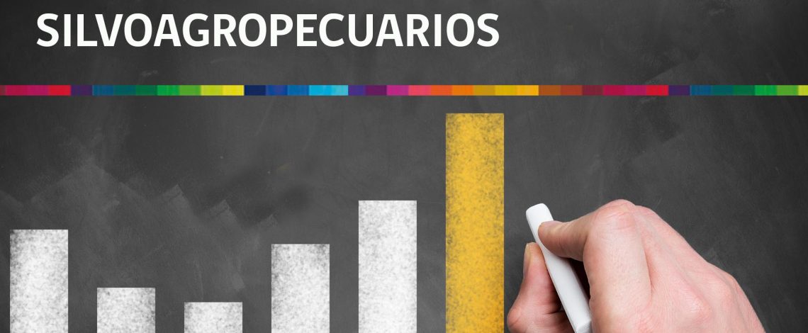 Odepa tiene una nueva publicación: el boletín de datos macroeconómicos y del sector silvoagropecuario
