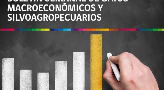 Odepa tiene una nueva publicación: el boletín de datos macroeconómicos y del sector silvoagropecuario