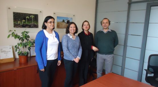 Odepa recibió a una delegación desde Costa Rica