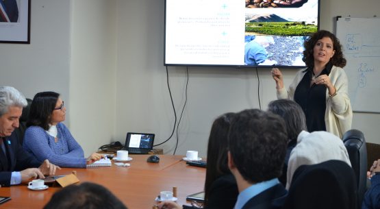 Se reunió el grupo de trabajo de “Imagen Alimentaria de Chile”, perteneciente al Consejo Exportador Agroalimentario