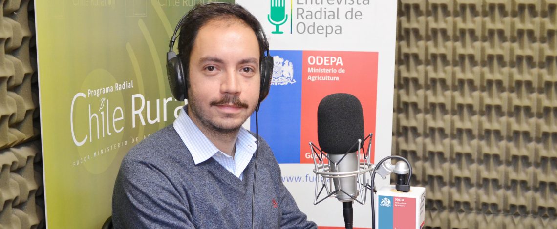 En la entrevista radial de Odepa, Jaime Giacomozzi habla sobre el boletín de insumos