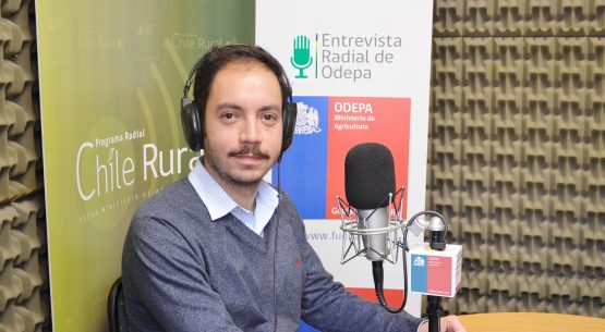 En la entrevista radial de Odepa, Jaime Giacomozzi habla sobre el boletín de insumos