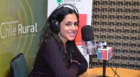 En la entrevista radial de Odepa, Javiera Pefaur habla sobre el aceite de oliva