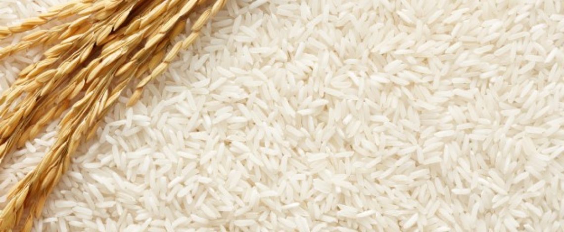 Arroz: temporada 2020/21 y perspectivas, agosto 2021