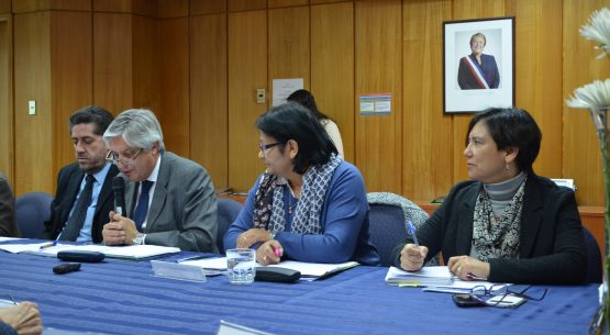 Directora de Odepa participó en la reunión del Consejo para la Sociedad Civil