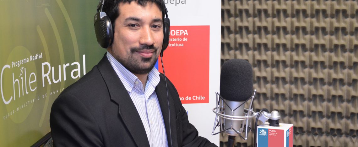 En la entrevista radial de Odepa, Daniel Barrera comenta sobre las ventajas del PIñón de Pino