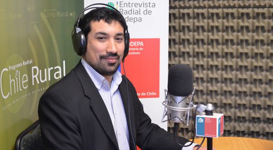 En la entrevista radial de Odepa, Daniel Barrera comenta sobre las ventajas del PIñón de Pino