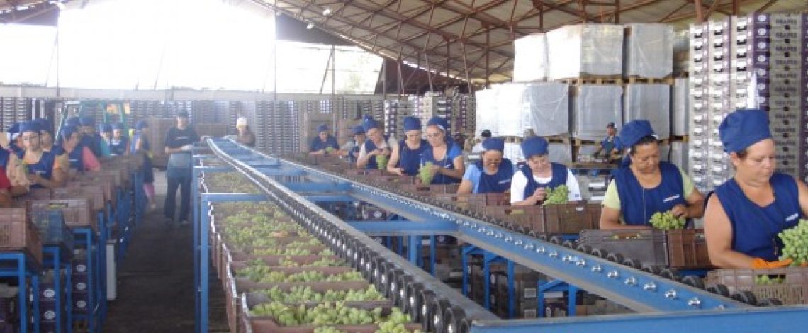 Evolución de la calidad del empleo en trabajadoras y trabajadores agrícolas. Julio de 2015