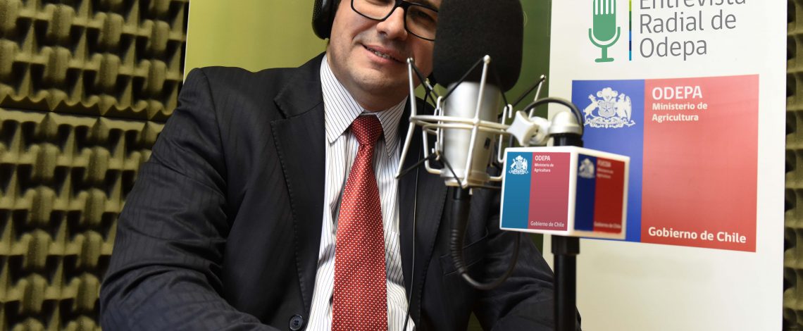 En la entrevista radial de Odepa, Camilo Navarro, director de Agroseguros habla sobre las novedades en los seguros agrícolas