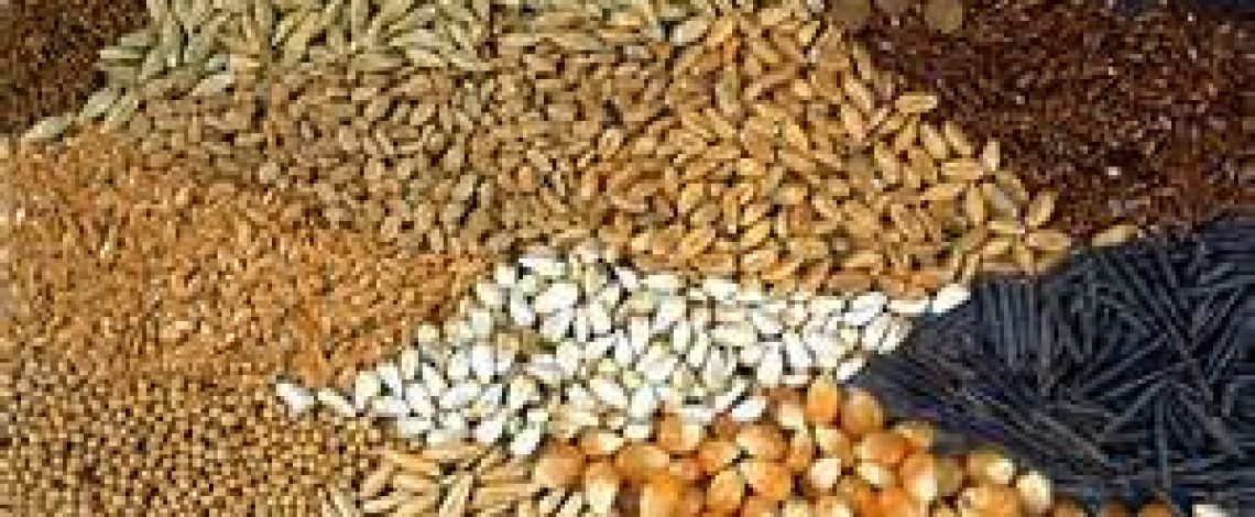 Variedades tradicionales: un patrimonio agrícola que debe ser protegido y valorizado. Julio de 2015