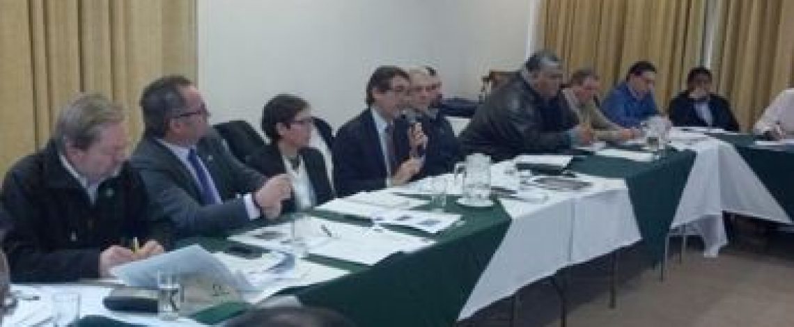 Sesionó el Consejo de Política Forestal, con la presencia del ministro de Agricultura Carlos Furche