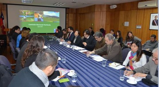 Se reunió la Comisión Nacional Hortícola