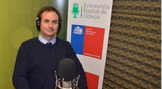 En la entrevista radial de Odepa, el agregado agrícola de Chile en la Federación de Rusia comenta sobre ese mercado